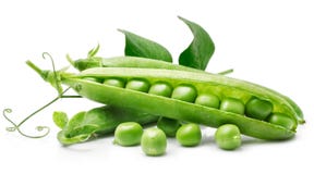 Fresh Pea In The Pod With Green Leaves Stock Photography Fresh Pea In The Pod With Green Leaves Stock Photography