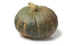 Fresh picked pumpkin Courge Delica Moretti. Fresh picked whole pumpkin Courge Delica Moretti on white background royalty free stock photo Fresh picked pumpkin Courge Delica Moretti. Fresh picked whole pumpkin Courge Delica Moretti on white background royalty free stock photo