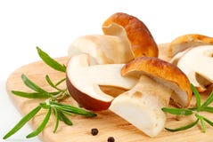 Fresh Porcini Mushrooms Stock Photos Fresh Porcini Mushrooms Stock Photos