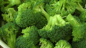Fresh raw organic broccoli closeup