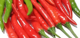 Fresh red, fresh and green chili, beautiful plants, vegetable garden, placed on a white background.