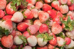 Fresh Ripe Strawberries. Stock Image