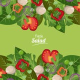 Fresh salad vegetables organic delicious food royalty free illustration Fresh salad vegetables organic delicious food royalty free illustration