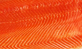 Fresh salmon fillet royalty free stock image Fresh salmon fillet royalty free stock image