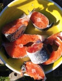Fresh salmon in the plate for grill stock photos Fresh salmon in the plate for grill stock photos