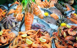 Fresh Seafood Stock Image