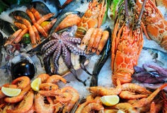 Fresh Seafood Stock Image
