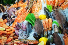 Fresh Seafood Stock Photography