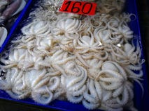 Fresh seafood such as Snail shrimp squid crab Cockle in Thailand seafood Market stock images Fresh seafood such as Snail shrimp squid crab Cockle in Thailand seafood Market stock images