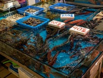 Seafood vendor at the market stock photography Seafood vendor at the market stock photography