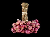 The fresh shallot on the black bagkground with clipping path stock photography The fresh shallot on the black bagkground with clipping path stock photography
