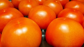 Fresh shiny ripe red tomato on a shelf in supermarket stock images Fresh shiny ripe red tomato on a shelf in supermarket stock images