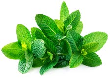 Fresh Spearmint Leaves Isolated On The White Background. Mint, P Royalty Free Stock Photo