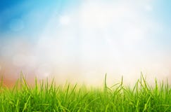 Fresh spring green grass and blue sky. royalty free stock image Fresh spring green grass and blue sky. royalty free stock image