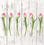Fresh spring tulip flowers Floral flat lay Bouquet Royalty Free Stock Images Fresh spring tulip flowers Floral flat lay Bouquet Royalty Free Stock Images