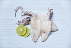 Fresh squid on table top view Raw squid and lemon lime on white wooden background royalty free stock image Fresh squid on table top view Raw squid and lemon lime on white wooden background royalty free stock image