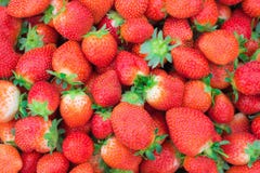 Fresh strawberries background royalty free stock images Fresh strawberries background royalty free stock images