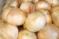 Fresh, Sweet Walla Walla Onions in a bin on display in a Farmers Market