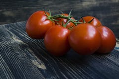 Fresh tomatoes on a branch stock photography Fresh tomatoes on a branch stock photography