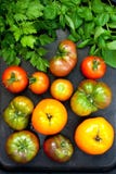 Fresh tomatoes on dark background. Top view Stock Photos Fresh tomatoes on dark background. Top view Stock Photos