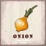 Onion Directory