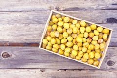 Fresh yellow plums. Ripe fruits in a wooden box on rough boards background stock image Fresh yellow plums. Ripe fruits in a wooden box on rough boards background stock image