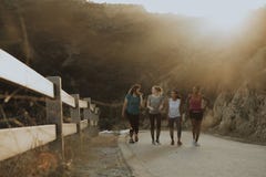Freunde, die durch die Hügel von Los Angeles wandern stockbild Freunde, die durch die Hügel von Los Angeles wandern stockbild