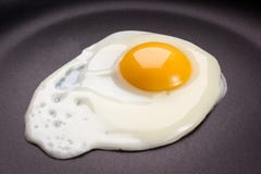 Fried Egg Royalty Free Stock Photo Fried Egg Royalty Free Stock Photo