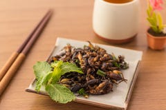 Fried insects royalty free stock photo Fried insects royalty free stock photo