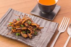Fried insects royalty free stock photo Fried insects royalty free stock photo
