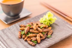 Fried insects royalty free stock photo Fried insects royalty free stock photo