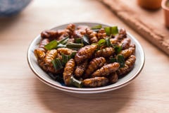 Fried insects - Wood worm insect crispy with pandan after fried royalty free stock photos Fried insects - Wood worm insect crispy with pandan after fried royalty free stock photos
