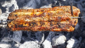 Fried meat on a fire royalty free stock photo Fried meat on a fire royalty free stock photo