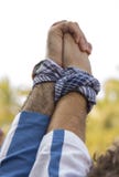 Hands united by fraternity stock image Hands united by fraternity stock image