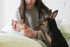 Friendship among human and dog Royalty Free Stock Photos Friendship among human and dog Royalty Free Stock Photos
