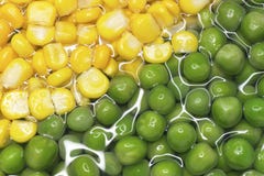 Frische Nahrung lizenzfreie stockfotos Frische Nahrung lizenzfreie stockfotos