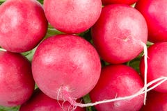 Frische Rettiche der Nahaufnahme stockbilder Frische Rettiche der Nahaufnahme stockbilder