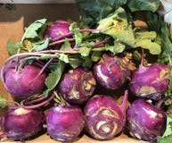Frischer Kohlrabi lizenzfreies stockbild Frischer Kohlrabi lizenzfreies stockbild
