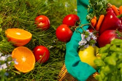 Frisches organisches Gem?se im Weidenkorb im Garten lizenzfreie stockfotos Frisches organisches Gem?se im Weidenkorb im Garten lizenzfreie stockfotos