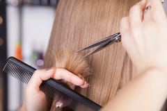Frisör klippt blont hår av en kvinna royaltyfria foton Frisör klippt blont hår av en kvinna royaltyfria foton