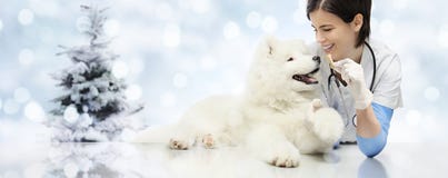 Frohe Weihnachten von Veterinär, Tierarztklinik mit dem Tierarzt lizenzfreies stockbild Frohe Weihnachten von Veterinär, Tierarztklinik mit dem Tierarzt lizenzfreies stockbild