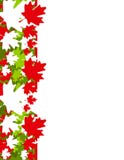Frontera de Navidad de la hoja de arce de Canadá stock de ilustración Frontera de Navidad de la hoja de arce de Canadá stock de ilustración