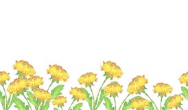 Frontière de fleurs de pissenlit illustration stock Frontière de fleurs de pissenlit illustration stock
