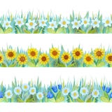 Frontières sans couture florales colorées Fond lumineux - herbe et fleurs Illustration tir?e par la main d'aquarelle illustration libre de droits Frontières sans couture florales colorées Fond lumineux - herbe et fleurs Illustration tir?e par la main d'aquarelle illustration libre de droits