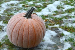 Frost på pumpa fotografering för bildbyråer Frost på pumpa fotografering för bildbyråer