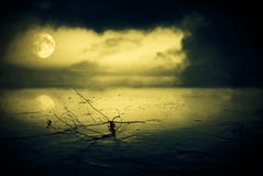 Frozen lake in moonlight Royalty Free Stock Photos Frozen lake in moonlight Royalty Free Stock Photos