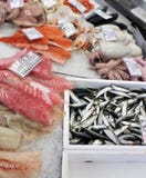 Frozen seafood and fish on ice. In the fish trade. Italian delicacy from the sea stock images Frozen seafood and fish on ice. In the fish trade. Italian delicacy from the sea stock images