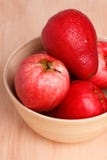 Fruit Acmella oleracea (jambu, toothache plant, paracress, elect Royalty Free Stock Photo Fruit Acmella oleracea (jambu, toothache plant, paracress, elect Royalty Free Stock Photo