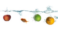 Fruit And Fish Royalty Free Stock Photography Fruit And Fish Royalty Free Stock Photography
