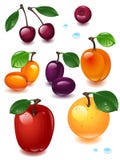 Fruit de positionnement complet Fruit de positionnement complet